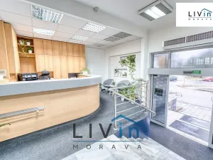 Pronájem kanceláře, Olomouc, Karolíny Světlé, 28 m2