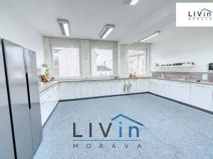 Pronájem kanceláře, Olomouc, Karolíny Světlé, 20 m2