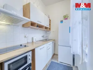 Prodej bytu 1+kk, Plzeň - Východní Předměstí, Plzenecká, 30 m2