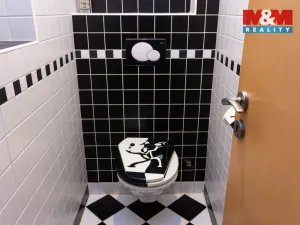 Prodej bytu 4+kk, Opava - Předměstí, Olomoucká, 155 m2