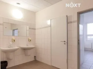 Pronájem kanceláře, České Budějovice, K. Světlé, 48 m2