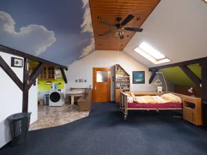 Prodej vícegeneračního domu, Vejprty, 900 m2