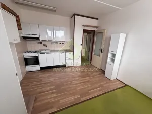 Pronájem bytu 1+1, Rokycany, K Řece, 46 m2