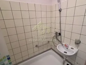 Pronájem bytu 1+1, Rokycany, K Řece, 46 m2