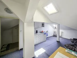 Pronájem komerční nemovitosti, Duchcov, Tyršova, 295 m2