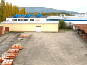 Pronájem obchodního prostoru, Teplice, Zemská, 5600 m2