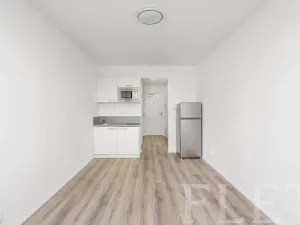 Pronájem bytu 1+kk, Praha - Chodov, Čenětická, 23 m2