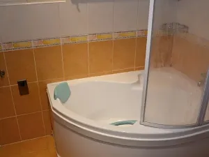 Pronájem bytu 2+1, Plzeň, Mohylová, 64 m2