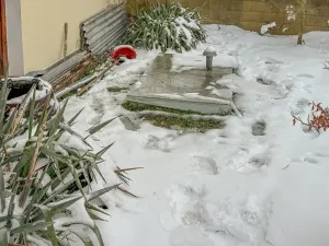 Prodej rodinného domu, Červené Pečky, Dobešovice, 354 m2