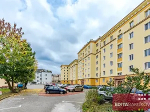 Pronájem bytu 1+1, Olomouc, Dr. Milady Horákové, 39 m2