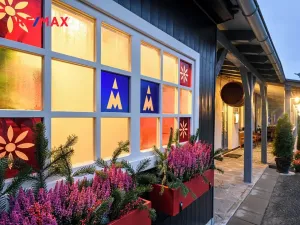 Prodej ubytování, Mařenice, 750 m2