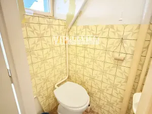 Prodej vícegeneračního domu, Dlouhá Loučka, Na Fibichu, 238 m2