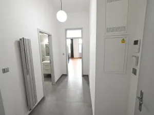 Pronájem bytu 1+kk, Praha - Vinohrady, Vinohradská, 41 m2