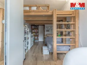 Prodej bytu 3+1, Mladá Boleslav - Čejetice, Koněvova, 86 m2