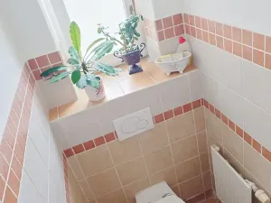 Prodej bytu 2+1, Liberec, Husova, 114 m2