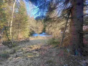 Prodej pozemku, Čachrov - Javorná, 2391 m2