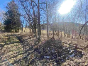 Prodej pozemku, Čachrov - Javorná, 2391 m2