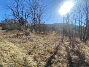 Prodej pozemku, Čachrov - Javorná, 2391 m2