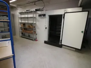 Pronájem skladu, Praha - Nusle, Mojmírova, 165 m2