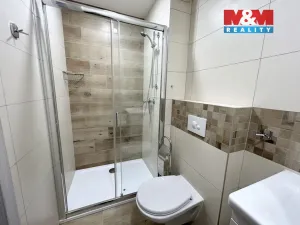 Pronájem bytu 1+kk, Louny, Emila Filly, 30 m2