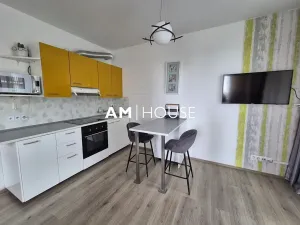 Pronájem bytu 1+kk, Praha - Malešice, Nad úžlabinou, 38 m2