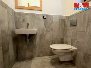 Pronájem bytu 2+1, Mnichov - Vranov, 125 m2