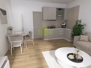 Pronájem bytu 1+kk, Olomouc, Topolová, 30 m2