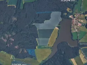 Prodej podílu lesa, Olešnice, 303 m2