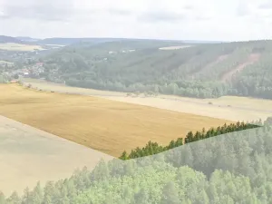 Prodej pole, Nečtiny, 45332 m2