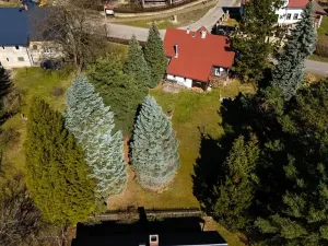 Prodej chalupy, Cvikov, 135 m2