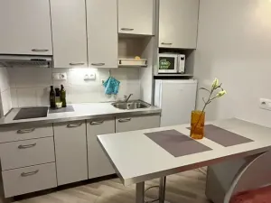 Pronájem bytu 2+kk, Praha - Vinohrady, Písecká, 35 m2