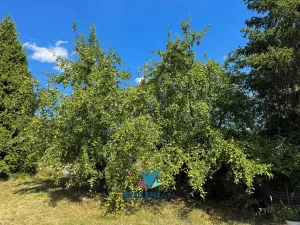 Prodej zahrady, Teplice, Kopřivová, 400 m2