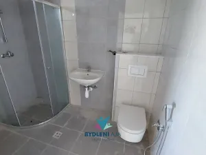Prodej rodinného domu, Modlany, 160 m2