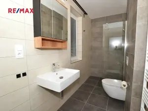 Pronájem rodinného domu, Plzeň, 110 m2