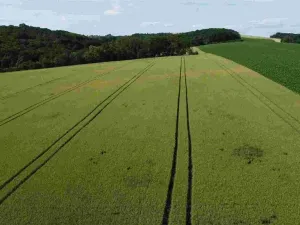 Prodej pozemku, Dobrkovice, 30313 m2