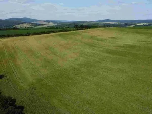 Prodej pozemku, Dobrkovice, 30313 m2