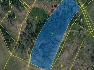 Prodej lesa, Číchov, 7090 m2