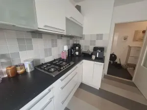 Prodej bytu 2+1, Brno, Purkyňova, 60 m2