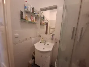 Prodej bytu 2+1, Brno, Purkyňova, 60 m2