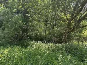 Dražba pozemku, Klášterec nad Ohří, 22680 m2