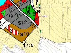 Dražba lesa, Přeborov, 1165 m2