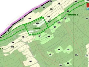 Prodej lesa, Nový Jičín - Straník, 87259 m2