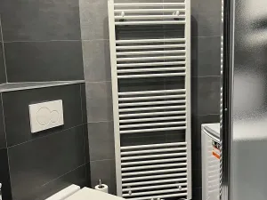 Pronájem bytu 2+kk, Praha - Vinohrady, Slezská, 52 m2