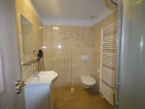 Pronájem bytu 1+kk, Bělá pod Pradědem, 29 m2