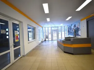 Pronájem výrobních prostor, Česká Ves, Jesenická, 356 m2