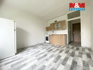 Pronájem bytu 1+kk, Kadaň, Koželužská, 20 m2