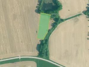 Prodej pole, Olešník, 67455 m2