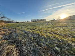 Prodej komerčního pozemku, Velká Bukovina, 20188 m2