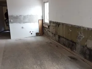 Prodej bytu 3+kk, Dolní Podluží, 67 m2