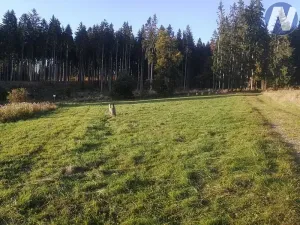 Prodej pozemku, Želnava, 14303 m2